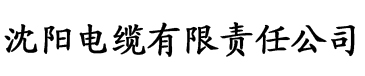 亚洲AV午夜精品无码一区电缆厂logo